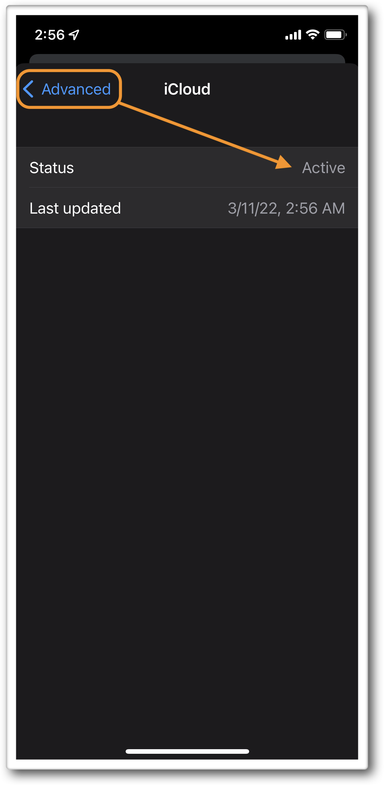 Advanced iCloud settings in djay for iOS