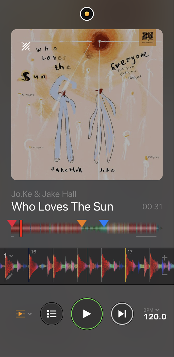 Automix portrait view