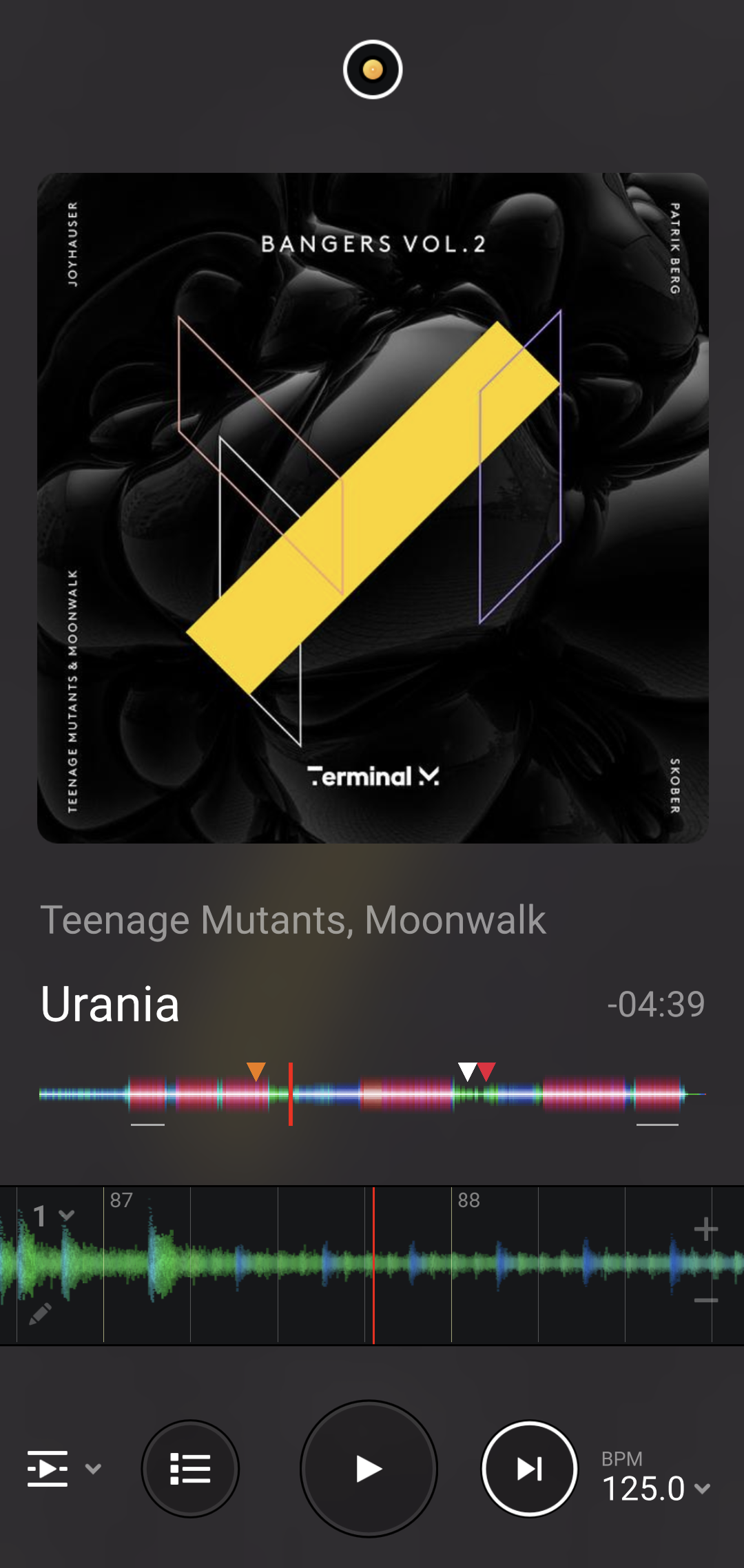 Automix portrait view