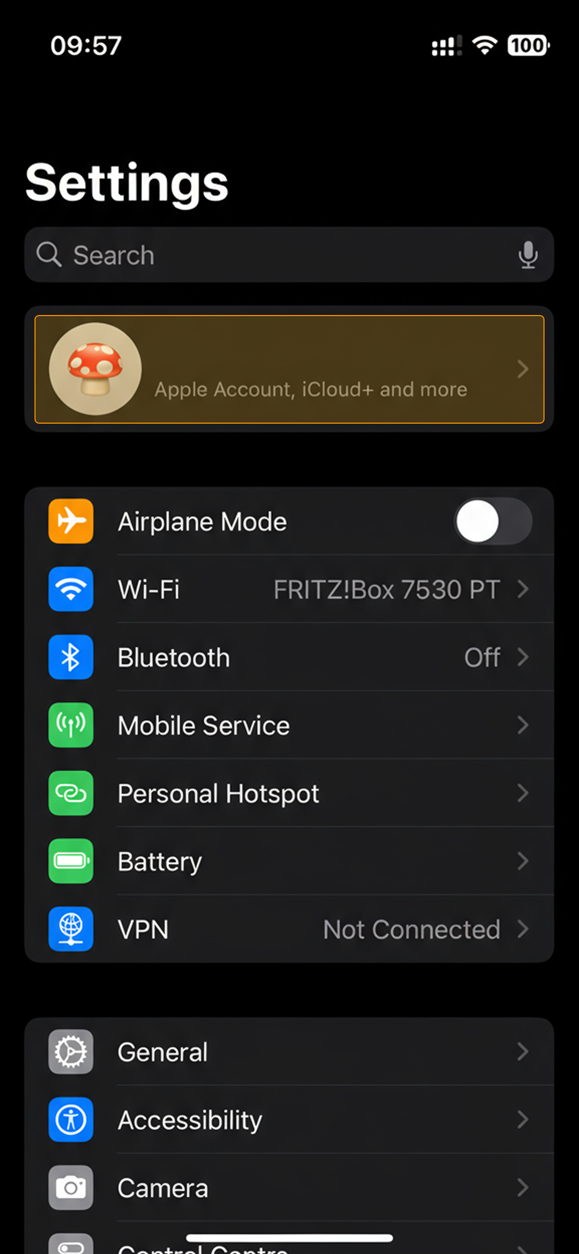 iCloud settings