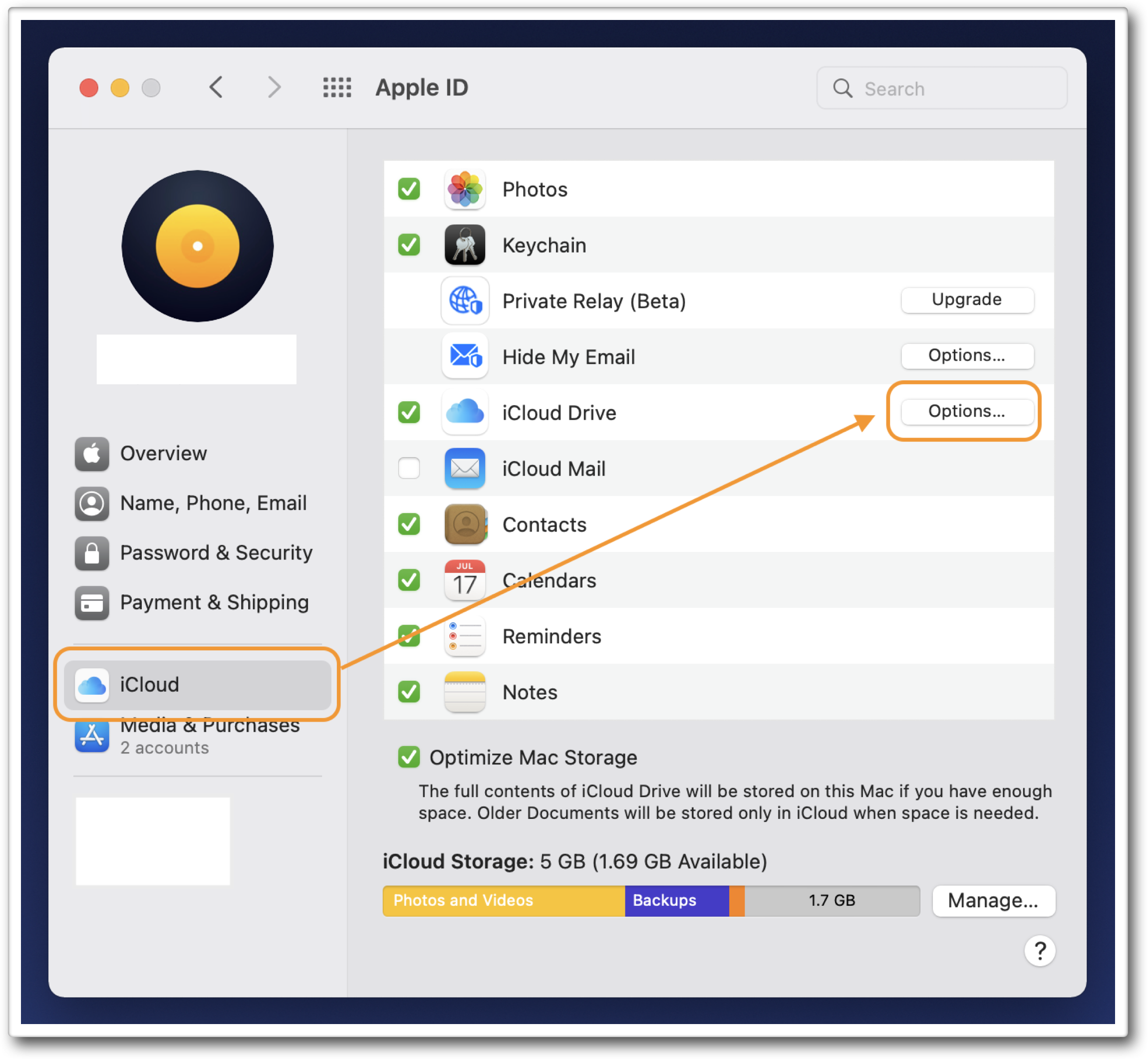 iCloud Drive options macOS